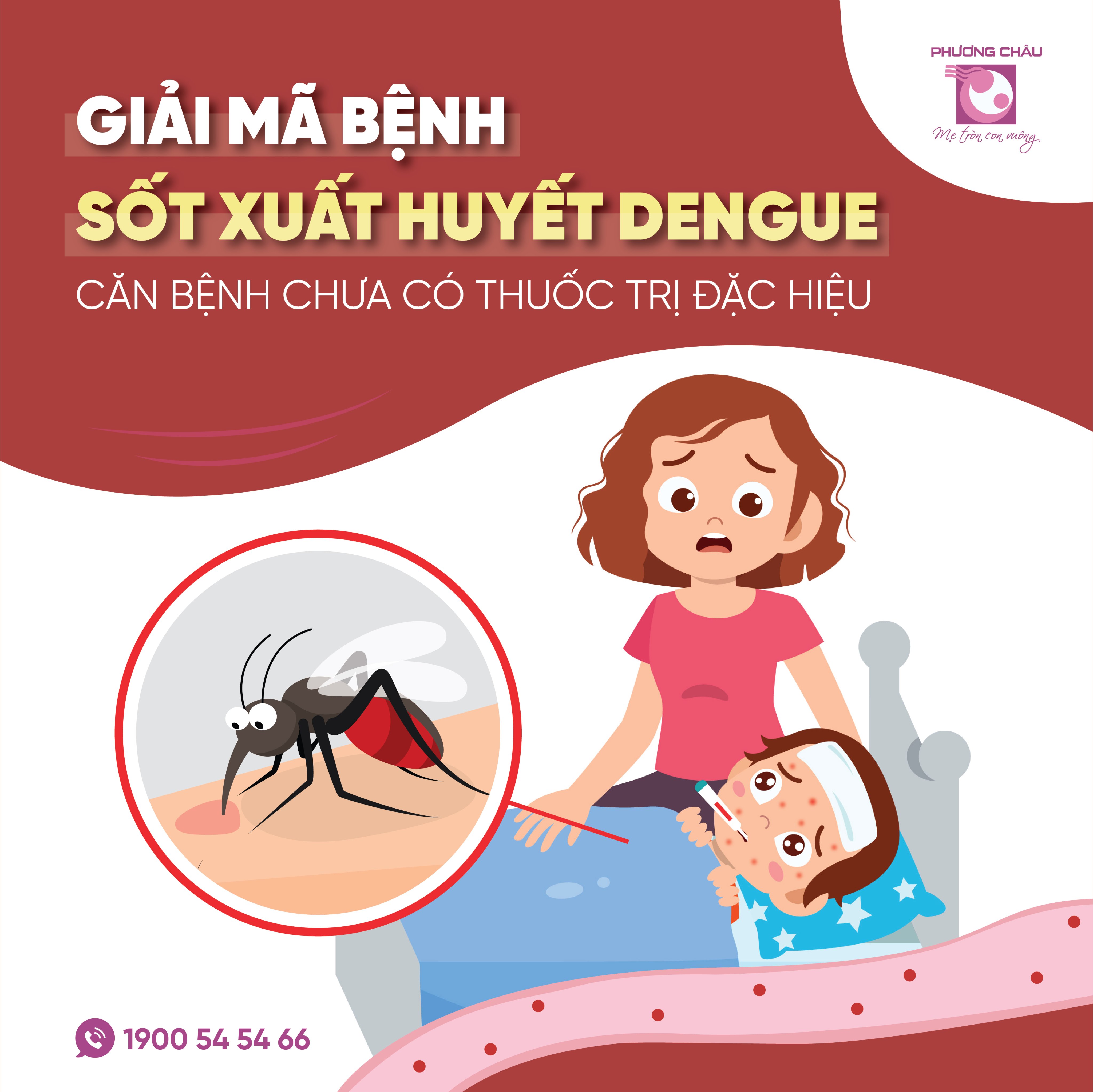 bệnh sốt xuất huyết, dengue, cách phòng tránh, nguyên nhân, nhập viện, cấp cứu, Nhi khoa, Phương Châu, bệnh thường gặp