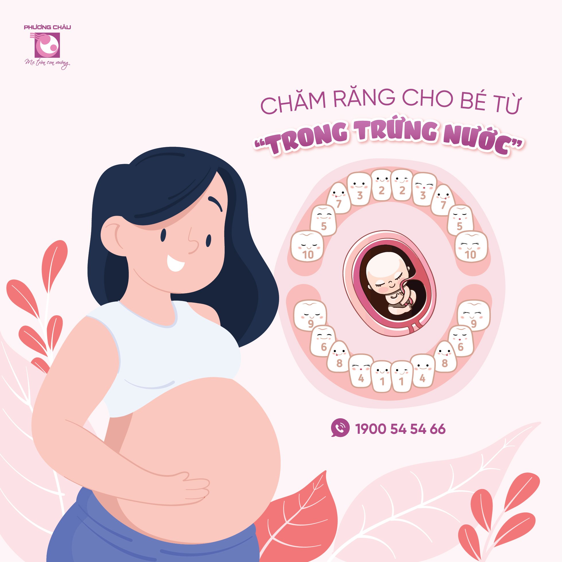 chăm sóc răng, bé, voucher, ưu đãi, khám & tư vấn răng, trong trứng nước, mẹ mang bầu, bé 1 tuổi, bé 5 tuổi, Nhi khoa, Phương Châu