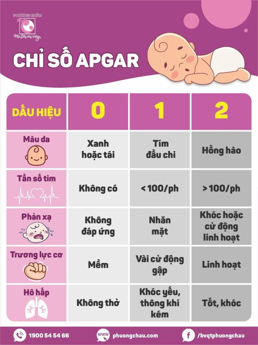 7. Lưu Ý Khi Thực Hiện Chăm Sóc Phân Cấp