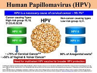 ung thư phụ khoa, ung thư cổ tử cung, virus HPV, bệnh viện phương châu, lây nhiễm tình dục, mục cóc, tiêm ngừa ung thư cổ tử cung